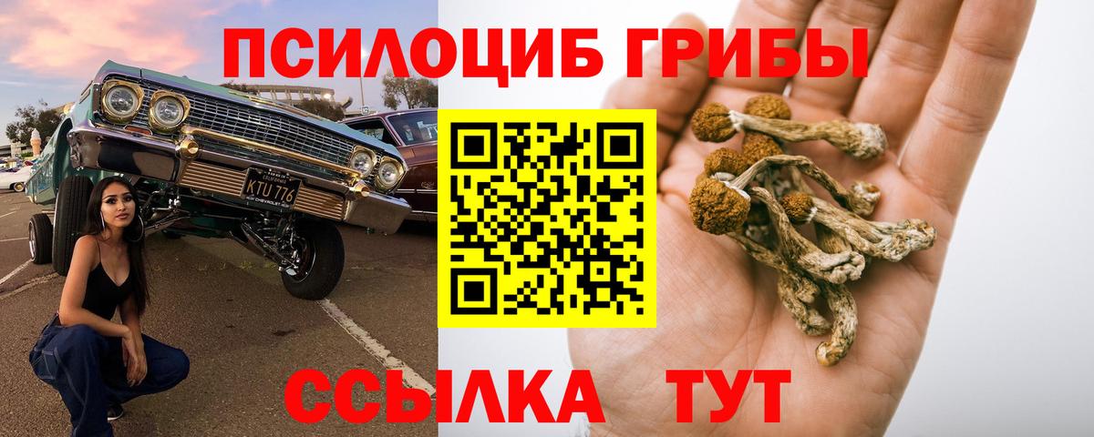 где продают наркотики  Вход с VPN  Орёл  Псилоцибиновые грибы Magic Shrooms 